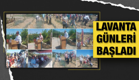 Tatlısu Lavanta Günleri düzenlenen etkinlikle başladı