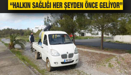 Gönyeli - Alayköy’de çam kese böceği ile mücadele tamamlandı