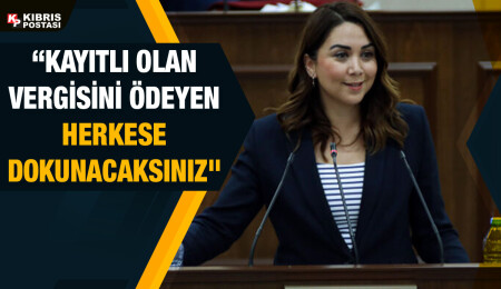 Ayşegül Baybars: Tasarı vergi adaletsizliği yaratacak, eşitliğe aykırı