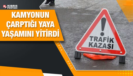 Akdoğan’da feci kaza: Kamyonun çarptığı yaya hayatını kaybetti