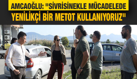 Gönyeli Alayköy’de yenilikçi WALS metodu ile sivrisinek mücadelesi gerçekleştiriyor