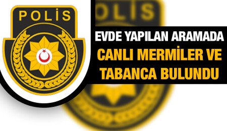 Çatalköy’de ikametgahında kanunsuz tabanca bulunan 87 yaşındaki kişi hakkında yasal işlem başlatıldı