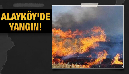 Alayköy’de çıkan yangında 10 dönüm anız yandı