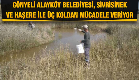 Gönyeli Alayköy Belediyesi, sivrisinek ve haşere ile mücadele ediyor