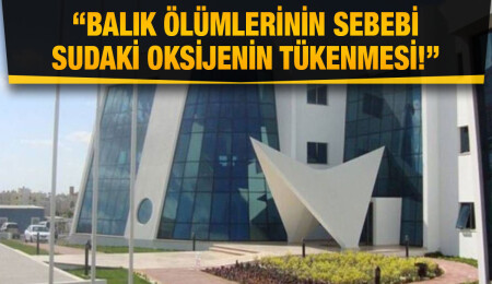 Gönyeli Barajı’ndaki balık ölümleriyle ilgili inceleme yapıldı