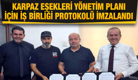 Fikri Ataoğlu: Amacımız başıboş eşek sorununa bilimsel, insancıl ve kalıcı çözüm bulabilmek