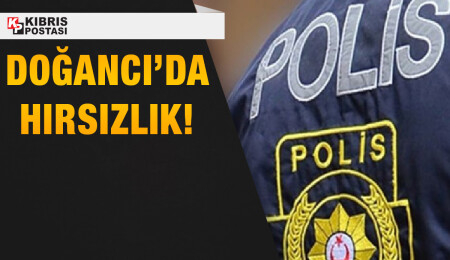 Doğancı’da hırsızlık: Tutuklanan şahsın başka bir evde de hırsızlık yaptığı tespit edildi