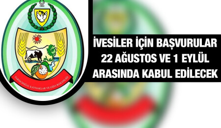 İskele’de İvesi koyunları hibe programı altında başvuru alınmaya başlanacak