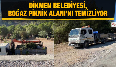 Dikmen Belediyesi, Boğaz Piknik Alanı'nda temizlik çalışmasına başladı
