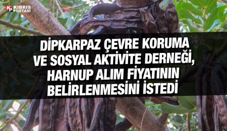 Harnup hasadı başladı, alım fiyatları hala belirlenmedi