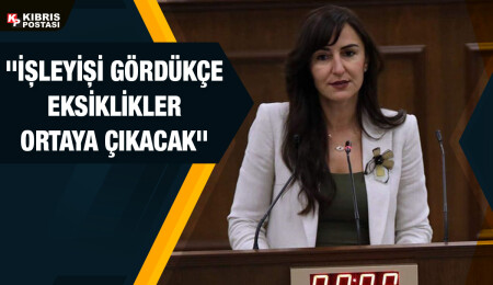 Meclis Genel Kurulu'nda Yataklı Tedavi Kurumları Dairesi Yasası görüşülüyor
