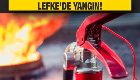 Lefke’de yüksek gerilim hattından çıkan kıvılcımlar iki dönüm arazinin yanmasına neden oldu