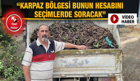 Dipkarpaz Muhtarı Cevdet Dağ: Halk olarak harnupları toplayıp bakanlığın önünde dökmeye hazırız