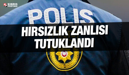 Edremit’te hırsızlık: 1 kişi tutuklandı