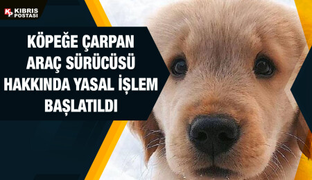 Gemikonağı’nda aracından indirdiği iki köpekten birini ezdi… Hakkında işlem başlatıldı