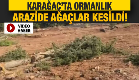 Karaağaç’ta Orman Dairesi'nin kontrolünde kesilen ağaçlara vatandaşlardan tepki!