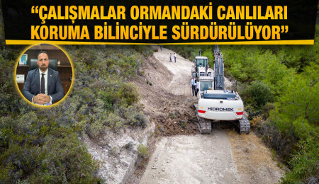 Hüseyin Çavuş: Orman yolları emniyet şeritlerinin bakım ve onarımları titizlikle yapılıyor