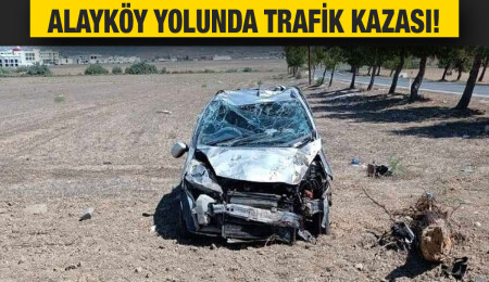 Alayköy yolunda kontrolden çıkan araç ağaca çarpıp takla attı, 2 kişi yaralandı