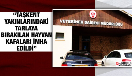 Veteriner Dairesi: “Taşkent yakınlarındaki tarlaya bırakılan büyükbaş hayvan kafaları imha edildi”