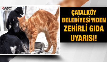 Çatalköy Belediyesi’nden zehirli gıda uyarısı