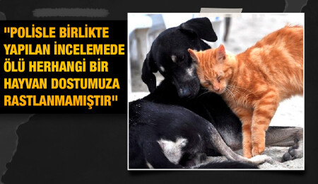 Çatalköy Belediyesi: Çatalköy’de 40-50 hayvan dostumuzun ölü olarak tespit edildiği haberi asılsız
