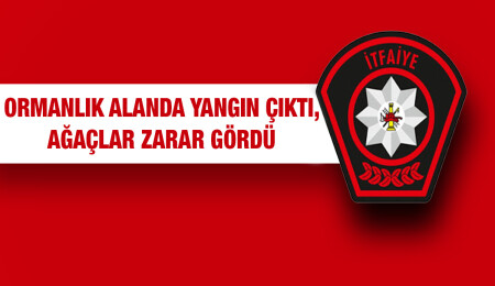 Çatalköy'de korkutan yangın!