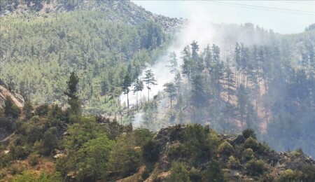 Alanya'da orman yangını