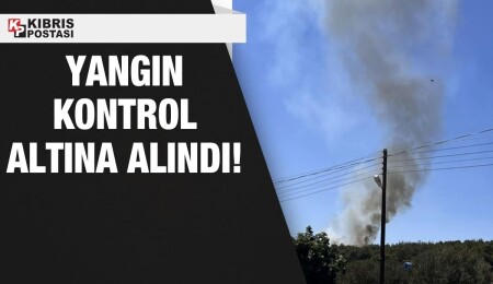 Yenierenköy’e bağlı Derince Piknik Alanı’nda çıkan yangın kontrol altına alındı