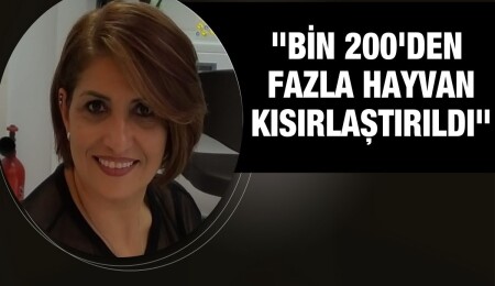 Engelli hayvanlar ile sokak hayvanlarına bir umut: Özgürlük Sığınağı