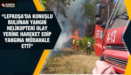 Orman Dairesi: Zamanında müdahaleyle olası bir orman yangınının önüne geçildi