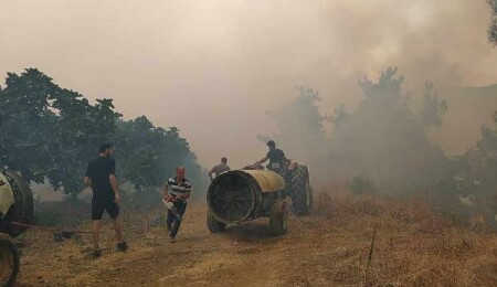 Bursa'da orman yangını