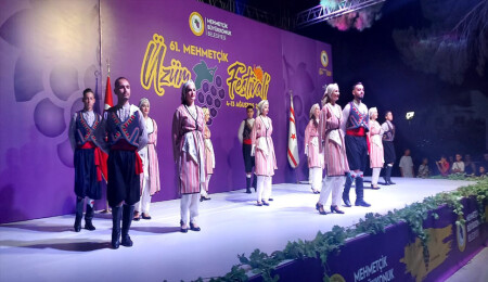 61. Mehmetçik Üzüm Festivali başladı