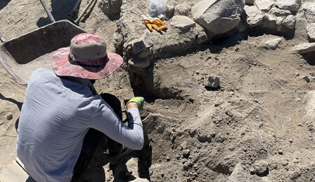 Arslantepe Höyüğü'nde Orta Tunç dönemine ait çalışma alanı bulundu