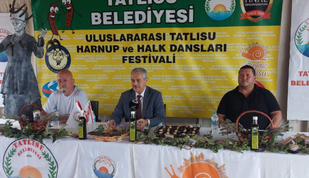 Tatlısu Harnup Festivali, Perşembe günü başlıyor
