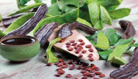 Lefke Kaymakamlığı, harnup ve zeytin hasat tarihlerini açıkladı