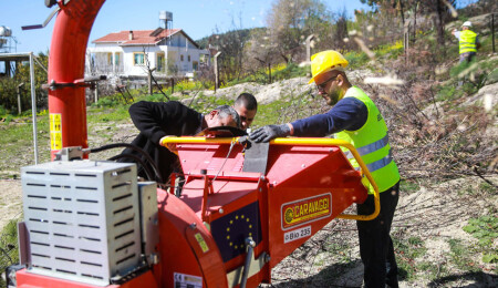 Dikmen yeşil atıkları değerlendiriyor