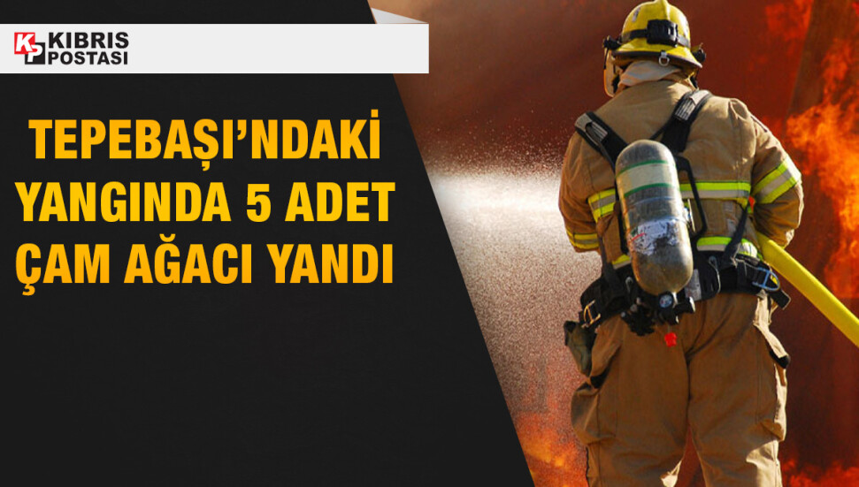Tepebaşı’nda kopan elektrik telleri yangına sebep oldı