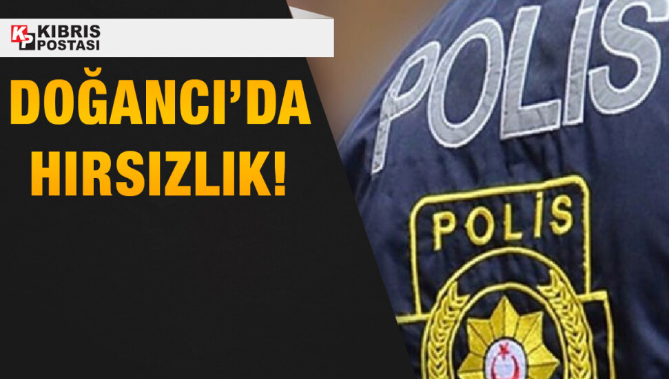 Doğancı’da hırsızlık: Tutuklanan şahsın başka bir evde de hırsızlık yaptığı tespit edildi