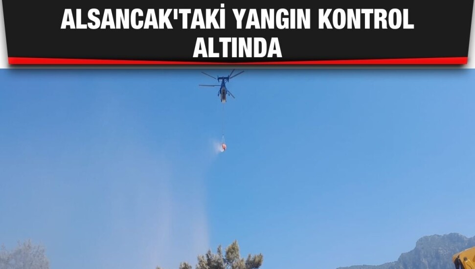 Alsancak'ta yangın: Ağaçlar ve güneş panelleri yanarak zarar gördü