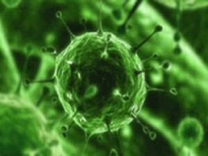 Bağırsaklardaki bakteriler kişiliğimizi şekillendiriyor olabilir mi?