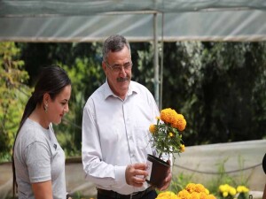 Dikmen Belediyesi, annelere çiçek hediye etti