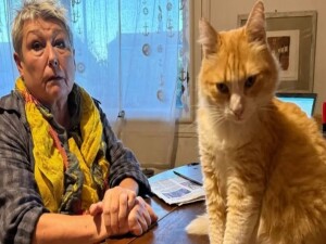 Fransa'da kediye ev hapsi verildi!