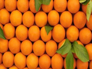 Güzelyurt Tarımsal Araştırma Enstitüsü, narenciye ürünlerini kapalı zarf usulüyle alıcıya sunuyor