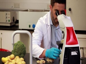 İthal elma ve siyah üzüm ile yerli salatalıkta limit üstü pestisit tespit edildi