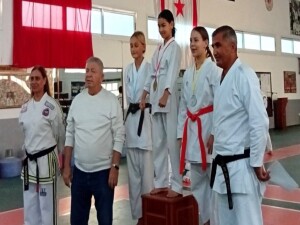 29 Ekim Cumhuriyet Ferdi Taekwondo Karate Budo Şampiyonası tamamlandı