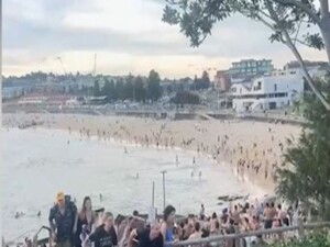 Sydney’de gerçekleşen silahlı saldırıda ölü sayısı 12'ye çıktı