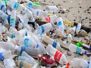 “Plastik Kirliliğinin Çevre ve Ekosistemler Üzerindeki Etkileri” konulu seminer düzenleniyor