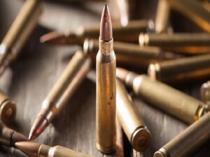 Almanya'da ordunun yaklaşık 20 bin mermisi çalındı