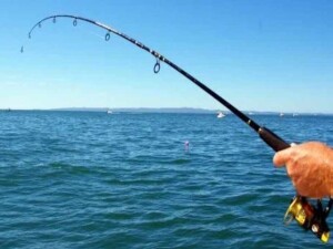 Balıkçılara Sosyal Sigorta prim destek ödemesi yapıldı