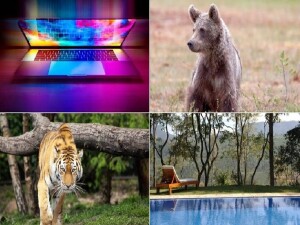 Dünyada ağustos ayında birçok sıra dışı ve tuhaf olay basına yansıdı